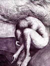 Narcissus