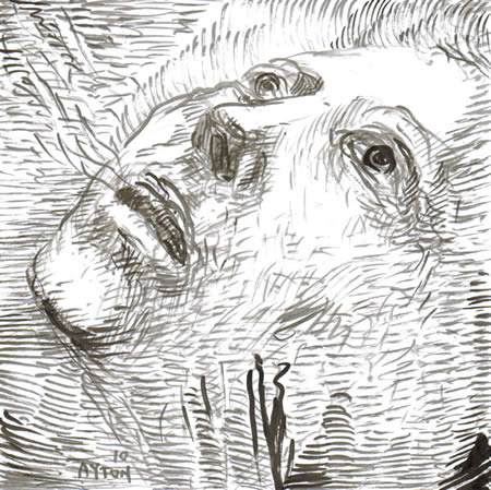 Ascension by William T. Ayton