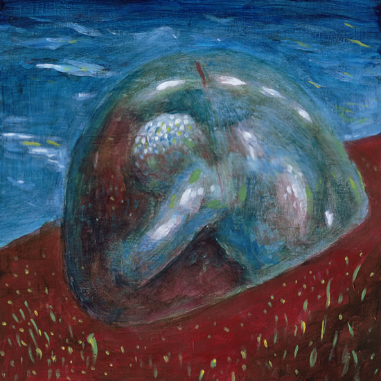 The Prisoner in the Bubble by William T. Ayton