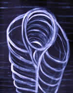 Empty Vessel by William T. Ayton