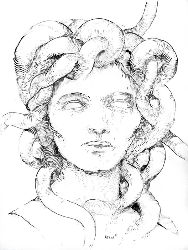 Medusa 2017 by William T. Ayton