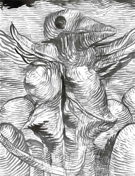 Pelican by William T. Ayton