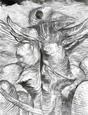 Pelican by William T. Ayton