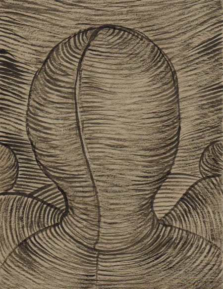 The Visible Man by William T. Ayton